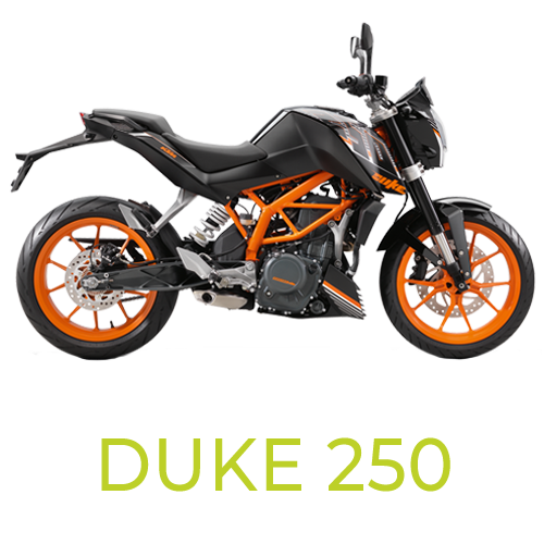 Duke 250