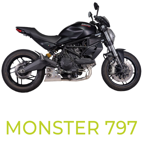 Monster 797