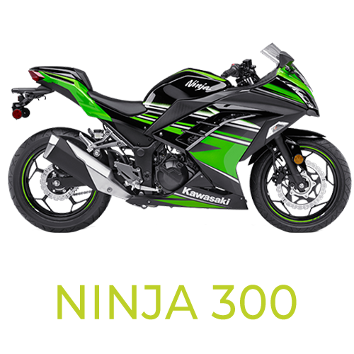Ninja 300