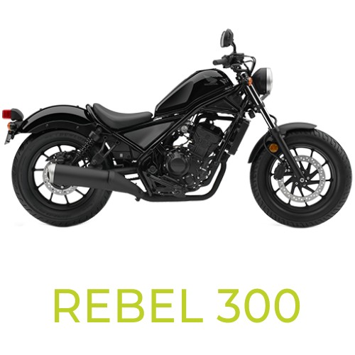 Rebel 300